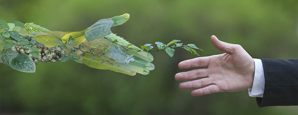 Licenciamento Ambiental